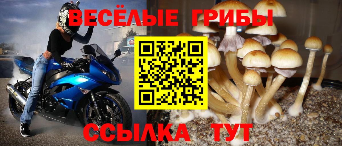 Псилоцибиновые грибы Magic Shrooms Новочебоксарск