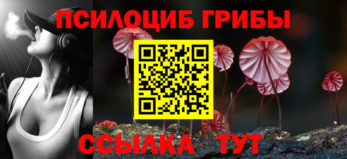 Галлюциногенные грибы мухоморы  Галлюциногенные грибы GOLDEN TEACHER  даркнет сайт  Новочебоксарск  Вход с VPN 